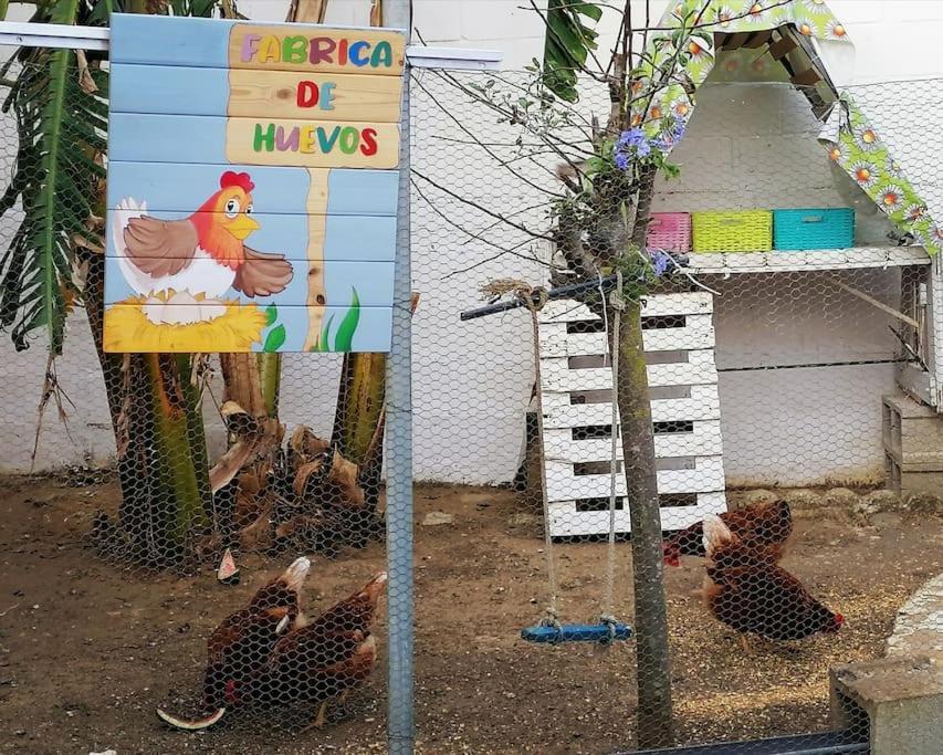 Chiclana El Principito Villa Chiclana de la Frontera Ngoại thất bức ảnh